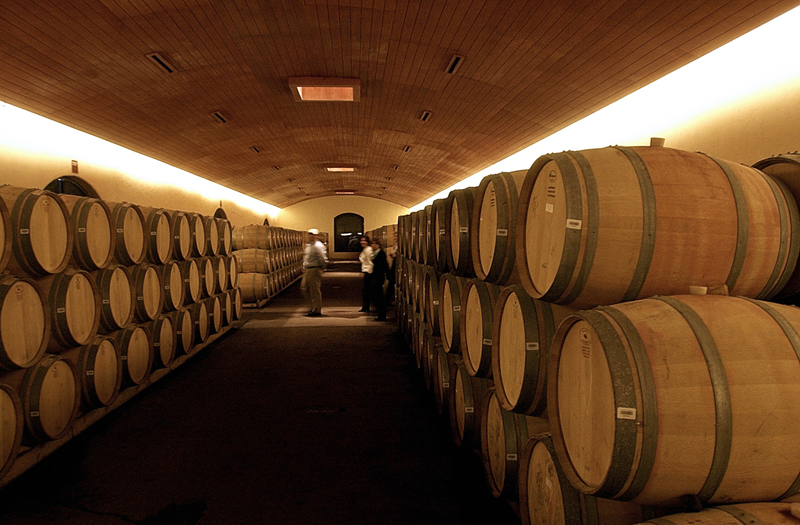 Bodega Viña Concha y Toro