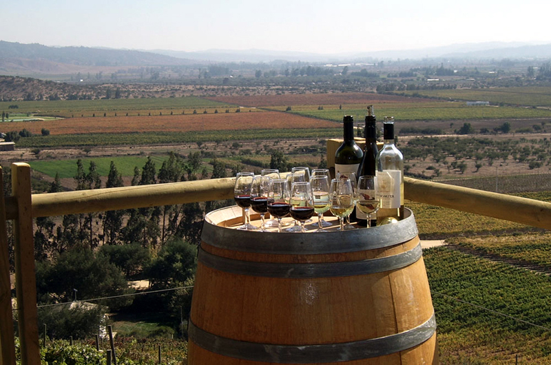 Vinicola Indómita - Casablanca 