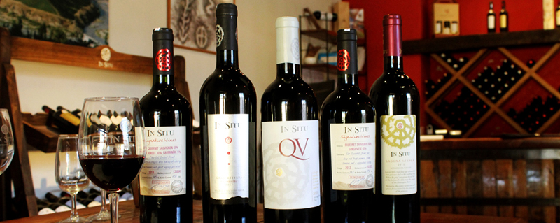 Tour Vinicola San Esteban